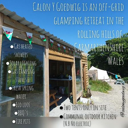 Calon Y Goedwig Glamping Llandovery Exterior foto