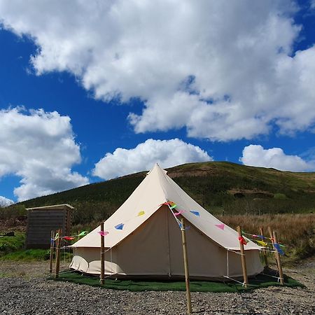 Calon Y Goedwig Glamping Llandovery Exterior foto