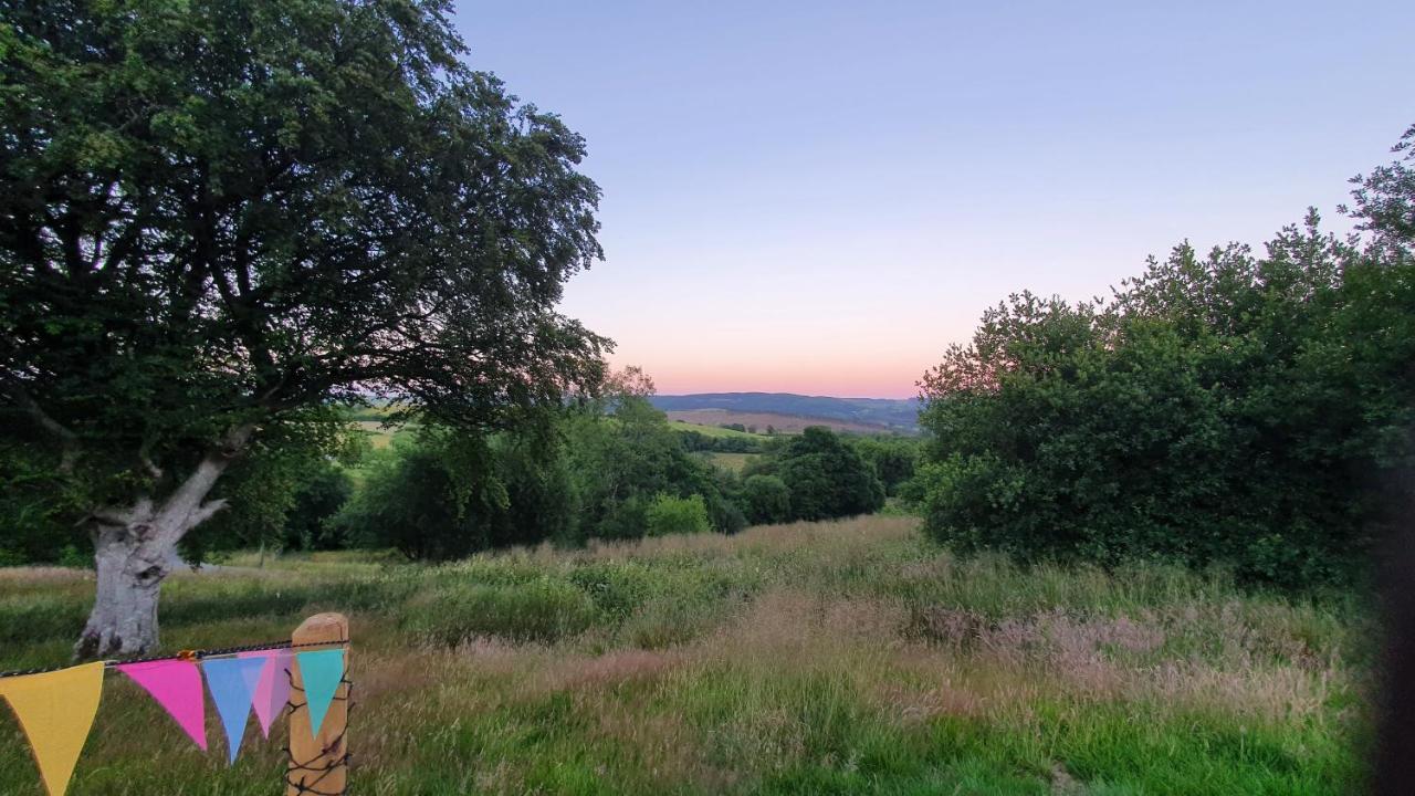 Calon Y Goedwig Glamping Llandovery Exterior foto
