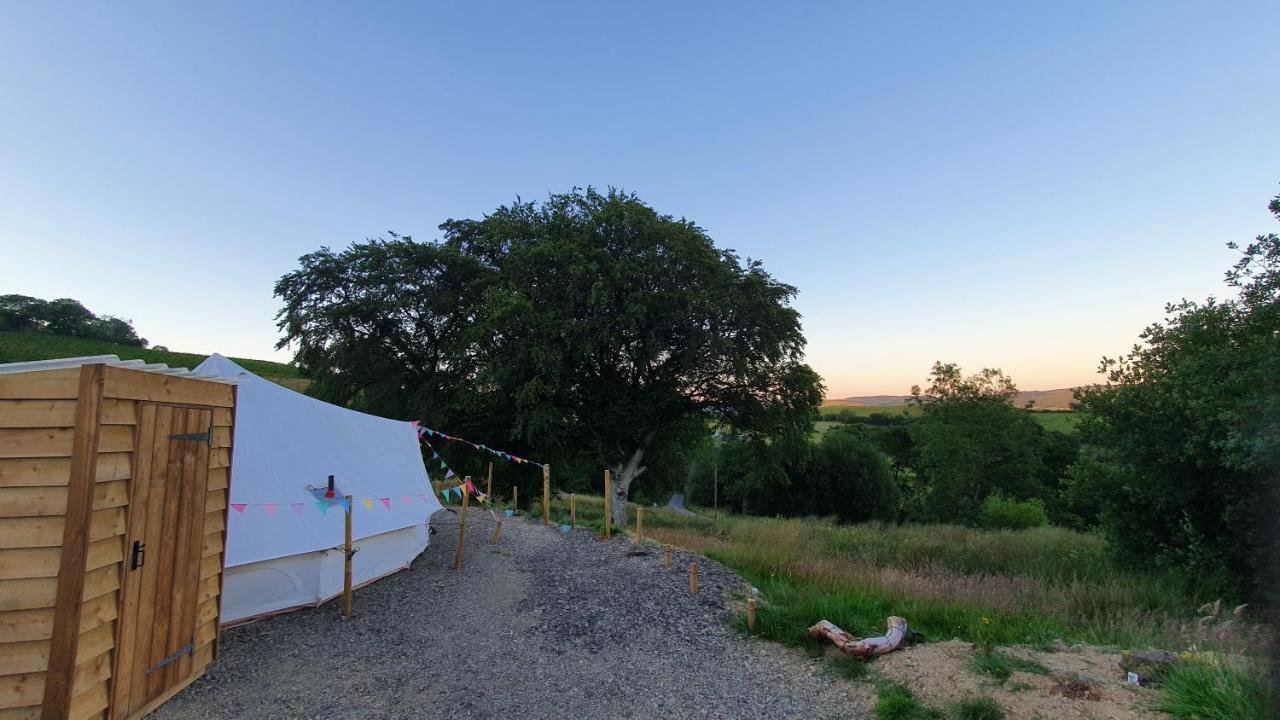 Calon Y Goedwig Glamping Llandovery Exterior foto