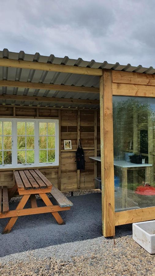 Calon Y Goedwig Glamping Llandovery Exterior foto