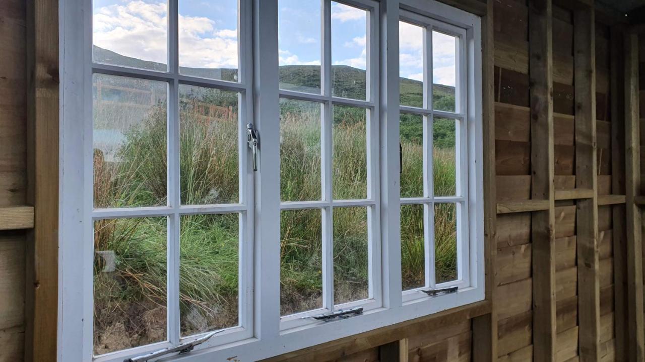 Calon Y Goedwig Glamping Llandovery Exterior foto