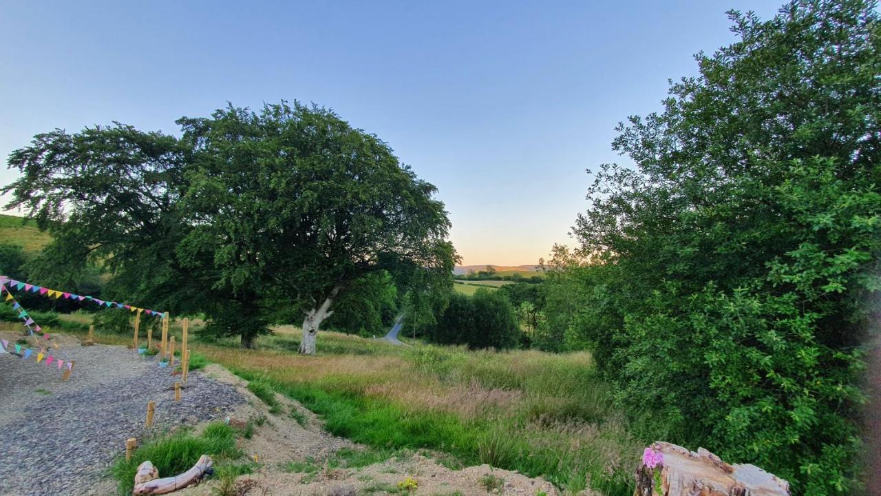Calon Y Goedwig Glamping Llandovery Exterior foto