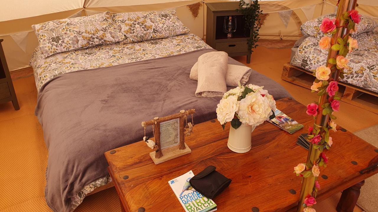 Calon Y Goedwig Glamping Llandovery Exterior foto