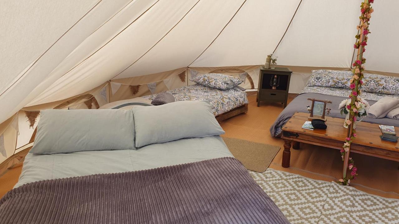 Calon Y Goedwig Glamping Llandovery Exterior foto