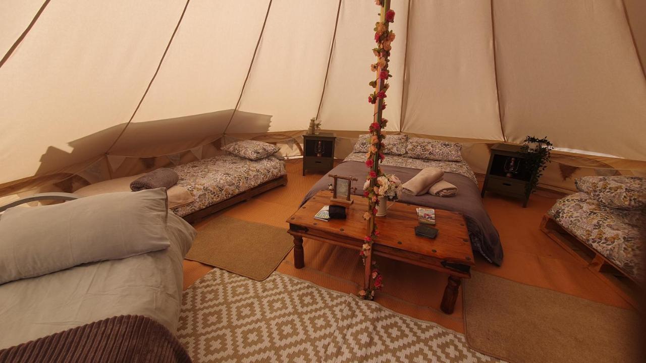 Calon Y Goedwig Glamping Llandovery Exterior foto