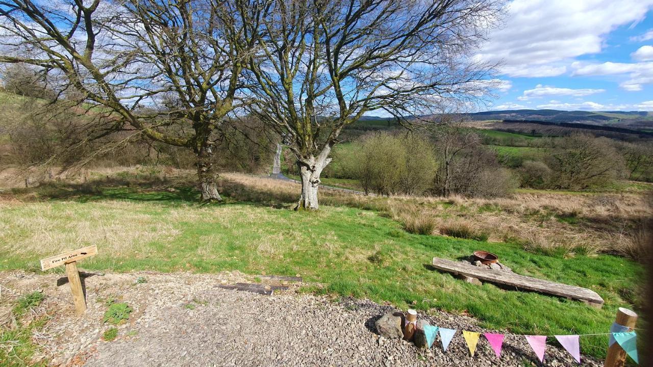 Calon Y Goedwig Glamping Llandovery Exterior foto