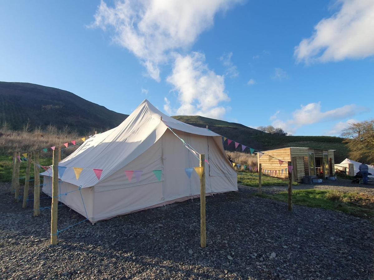 Calon Y Goedwig Glamping Llandovery Exterior foto