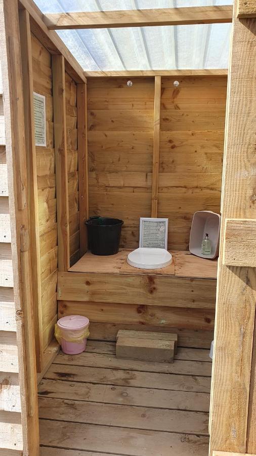 Calon Y Goedwig Glamping Llandovery Exterior foto