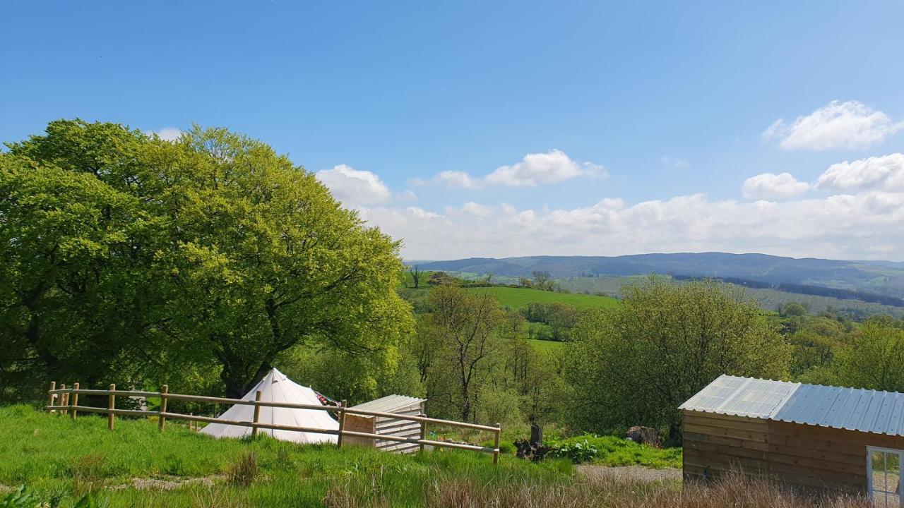 Calon Y Goedwig Glamping Llandovery Exterior foto