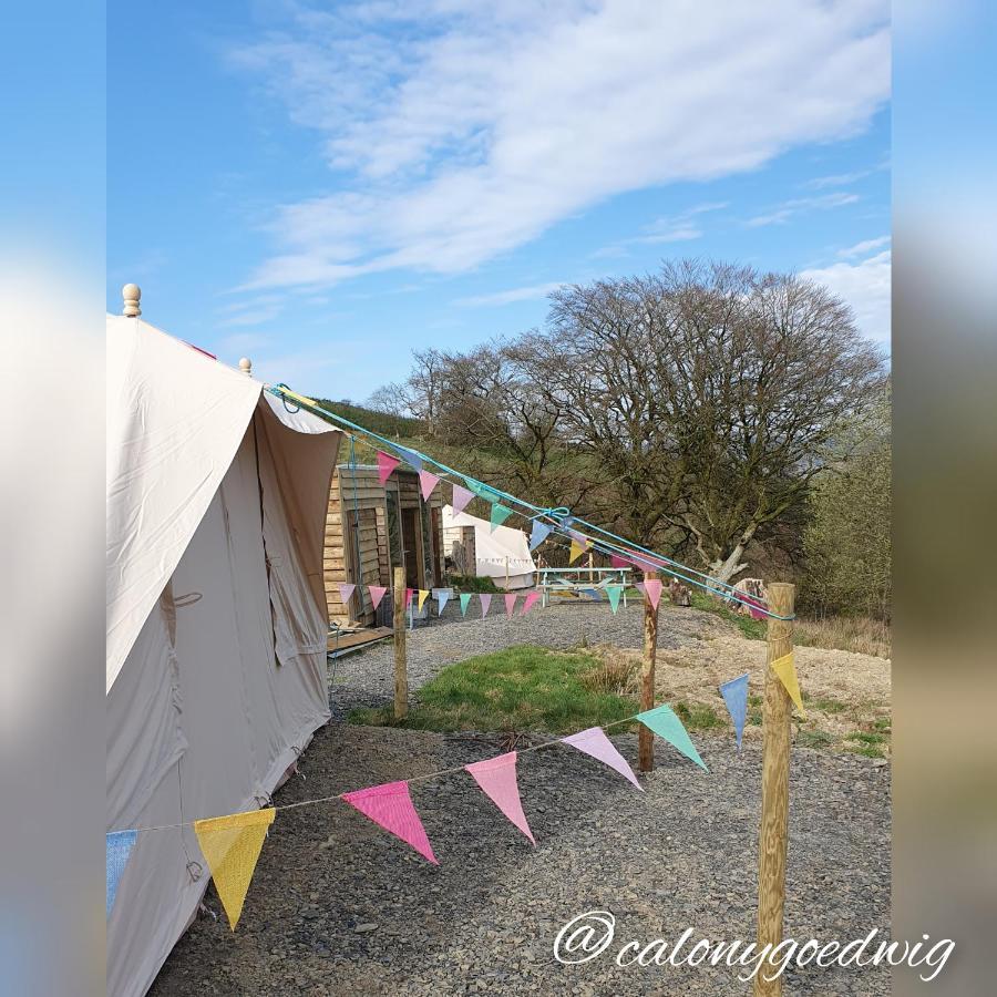 Calon Y Goedwig Glamping Llandovery Exterior foto