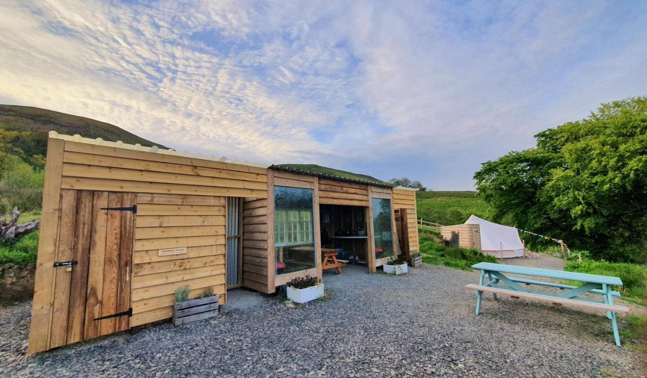 Calon Y Goedwig Glamping Llandovery Exterior foto