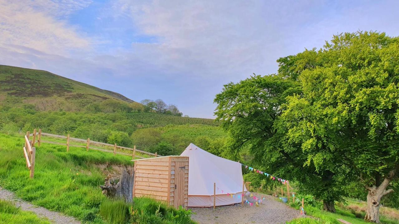 Calon Y Goedwig Glamping Llandovery Exterior foto