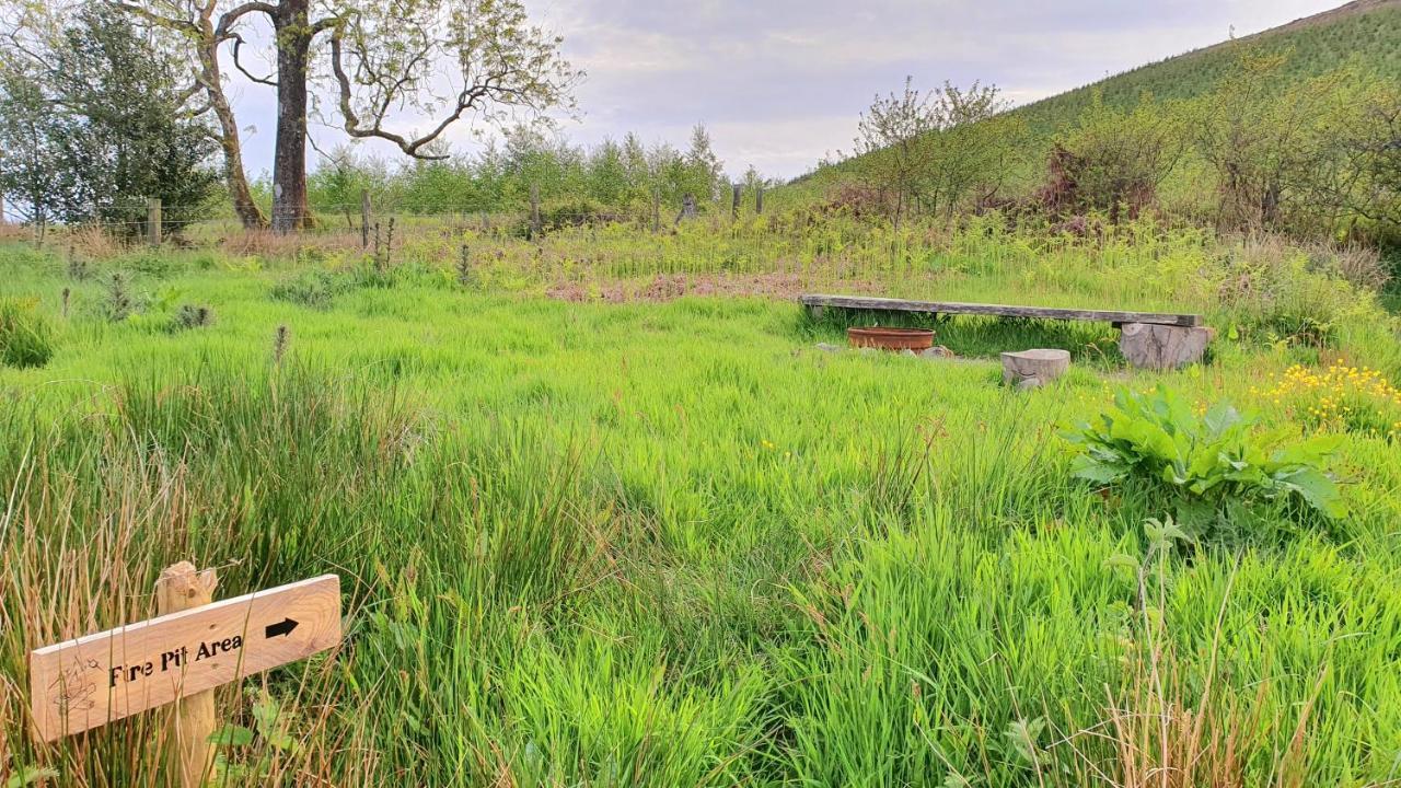 Calon Y Goedwig Glamping Llandovery Exterior foto