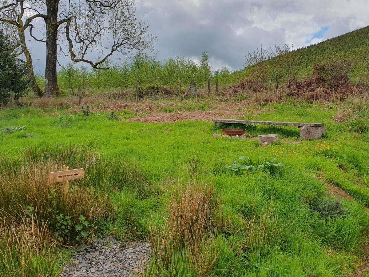 Calon Y Goedwig Glamping Llandovery Exterior foto