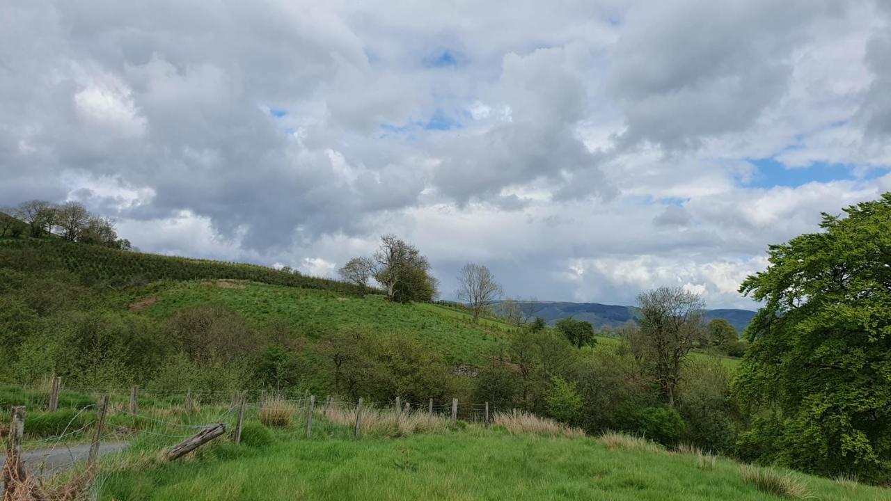 Calon Y Goedwig Glamping Llandovery Exterior foto