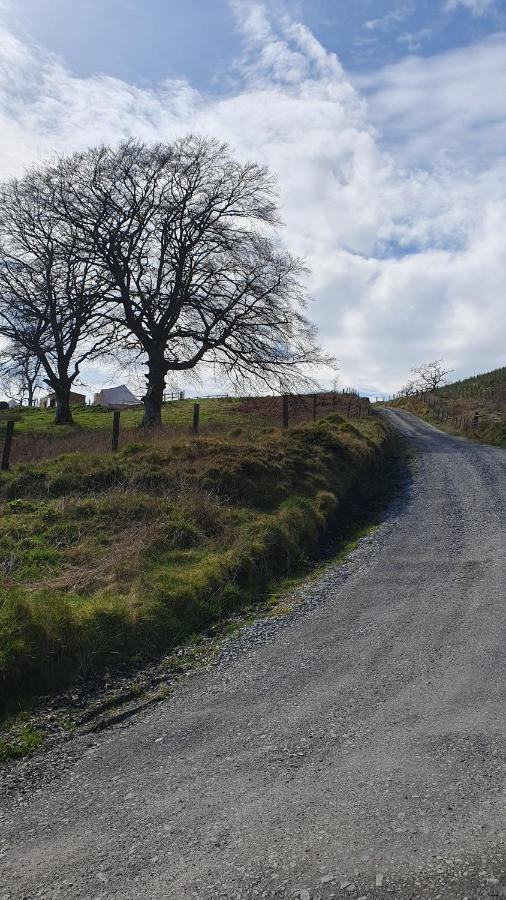 Calon Y Goedwig Glamping Llandovery Exterior foto