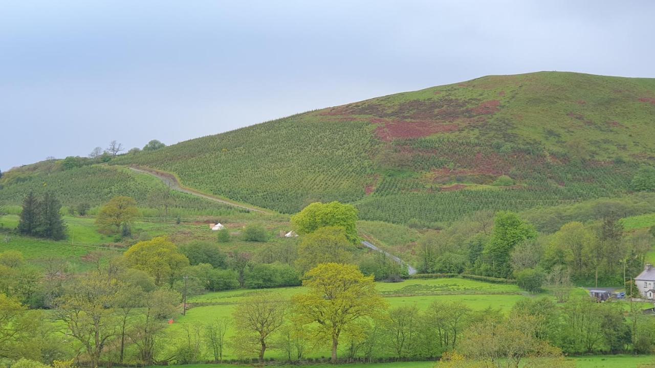 Calon Y Goedwig Glamping Llandovery Exterior foto