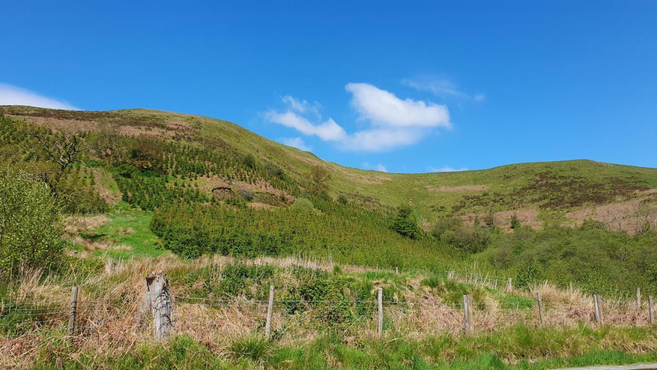 Calon Y Goedwig Glamping Llandovery Exterior foto