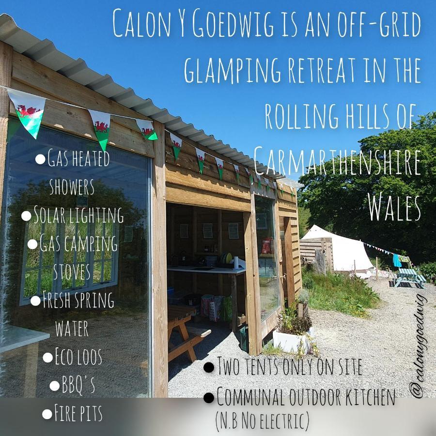 Calon Y Goedwig Glamping Llandovery Exterior foto