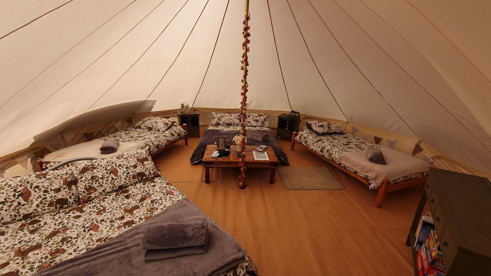 Calon Y Goedwig Glamping Llandovery Exterior foto