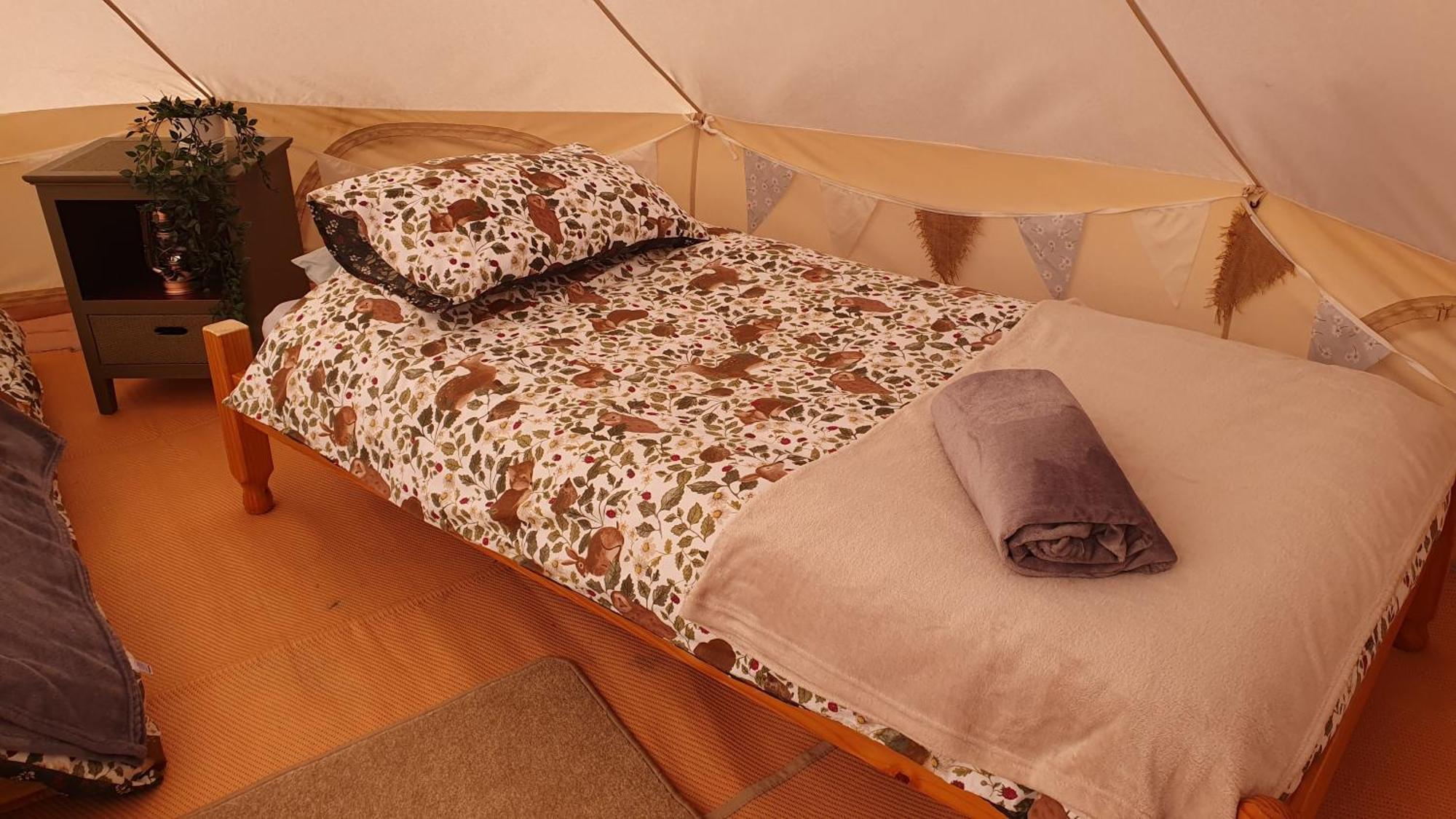 Calon Y Goedwig Glamping Llandovery Exterior foto