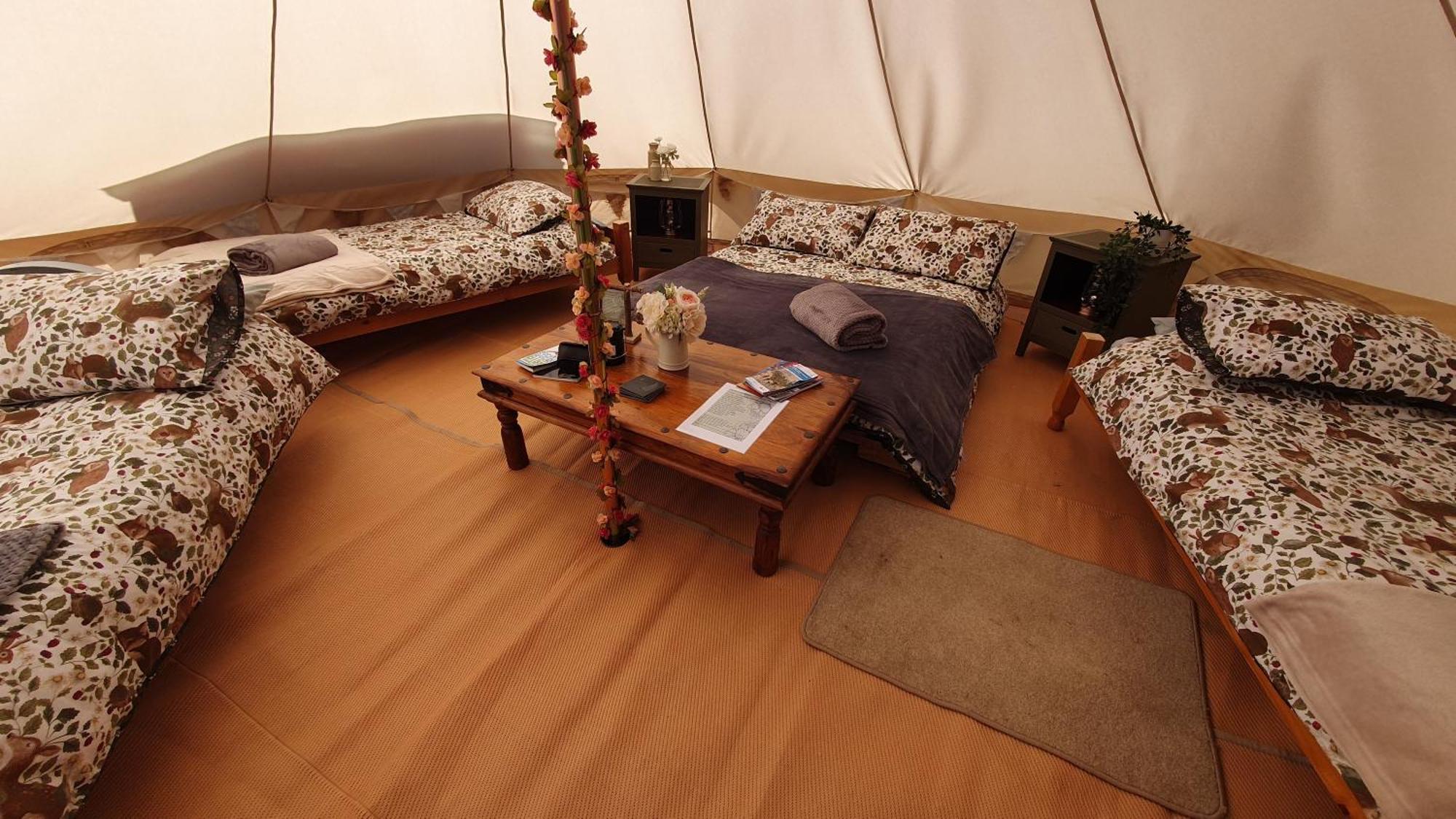 Calon Y Goedwig Glamping Llandovery Exterior foto
