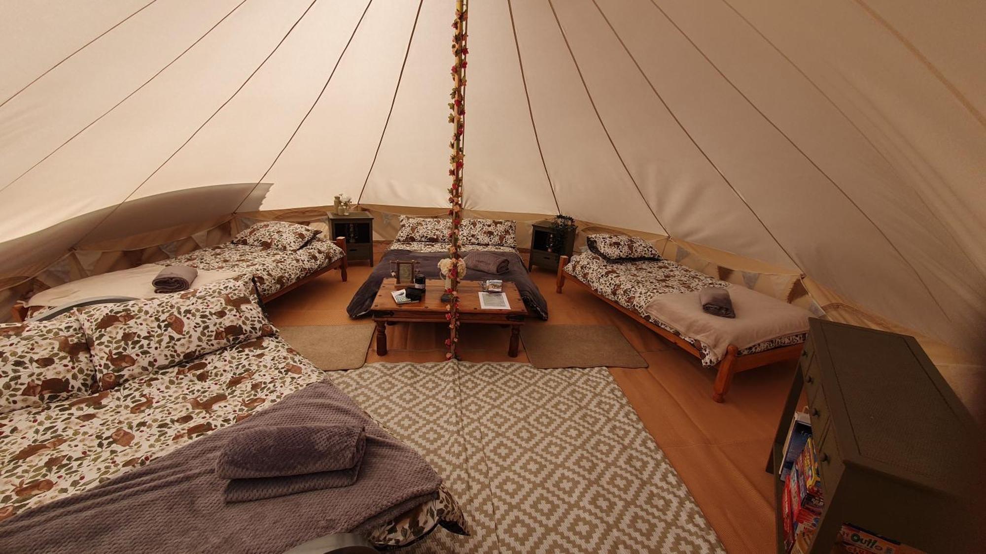 Calon Y Goedwig Glamping Llandovery Exterior foto