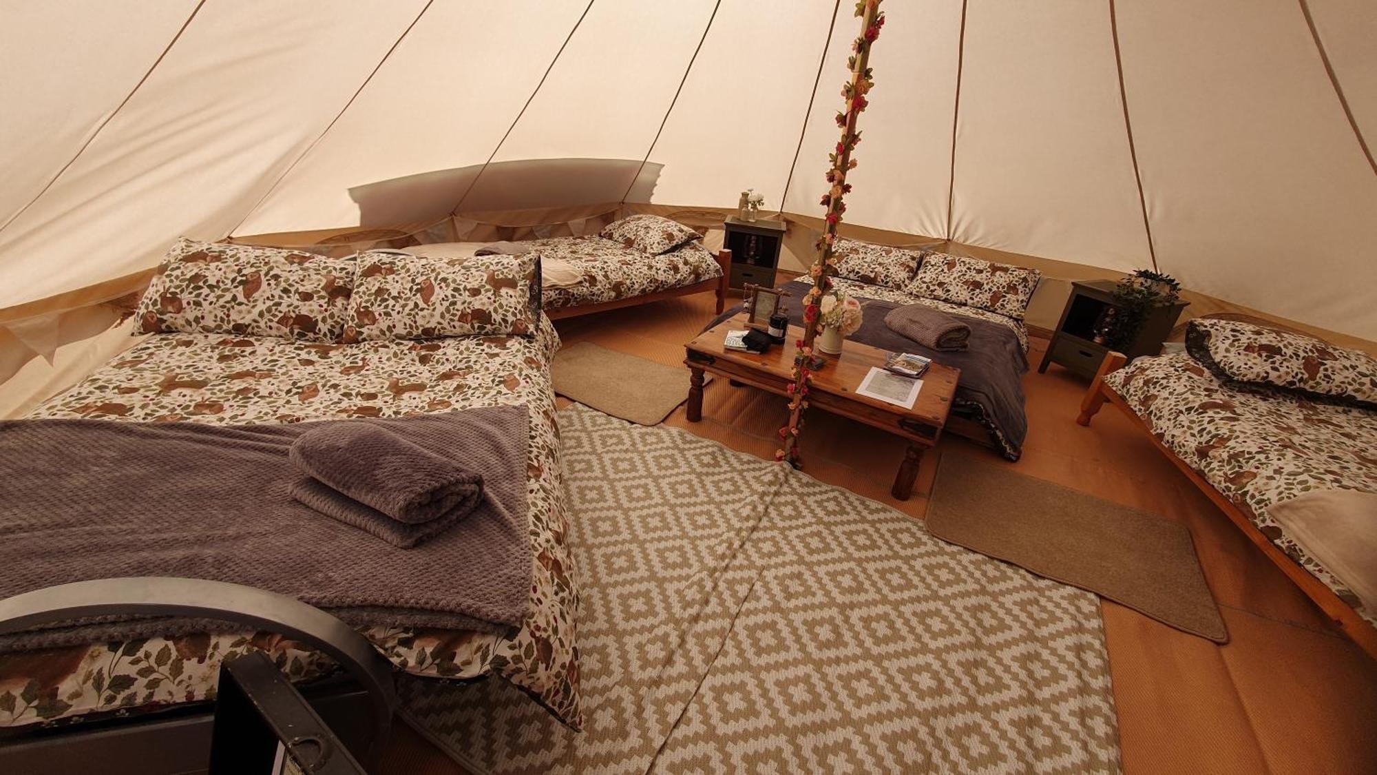 Calon Y Goedwig Glamping Llandovery Exterior foto